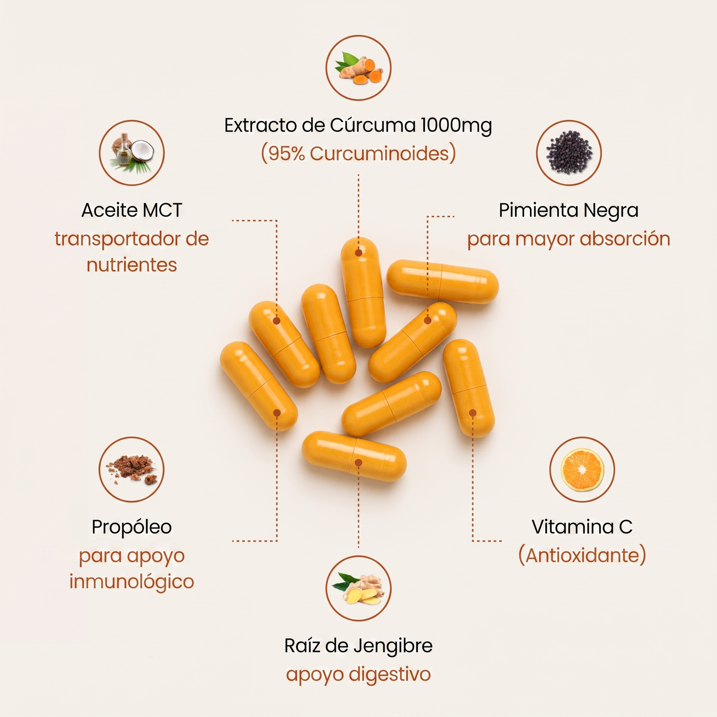 Capsulas De Cúrcuma Pura 1.000MG